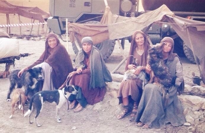 Perros aragoneses que triunfan ante las cámaras Perros aragoneses que triunfan ante las cámaras